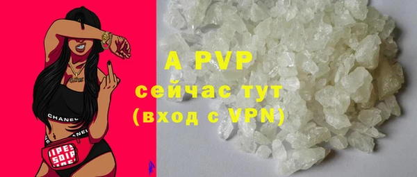 ГАЛЛЮЦИНОГЕННЫЕ ГРИБЫ Надым