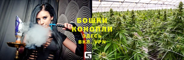 шишки Нея