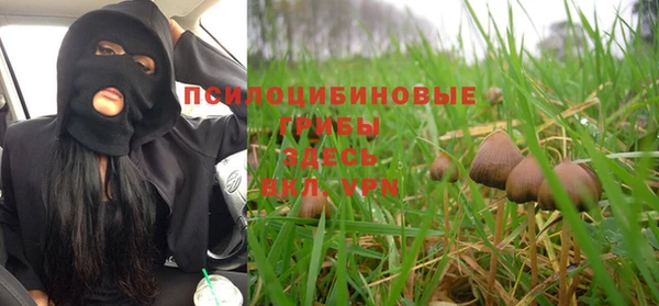 шишки Нея