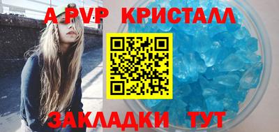 скорость Кингисепп