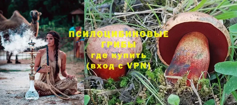 Псилоцибиновые грибы Psilocybine cubensis  блэк спрут ТОР  Партизанск  где можно купить наркотик 