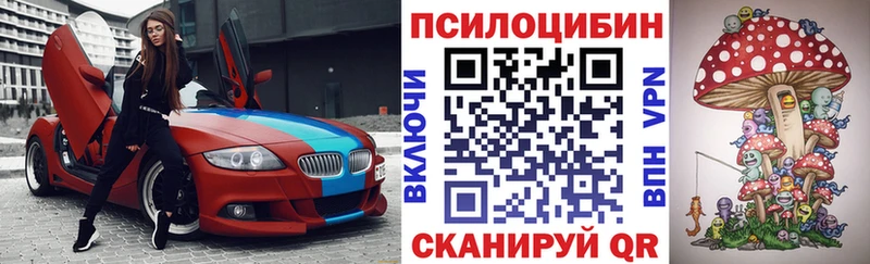 Псилоцибиновые грибы Cubensis  Партизанск 