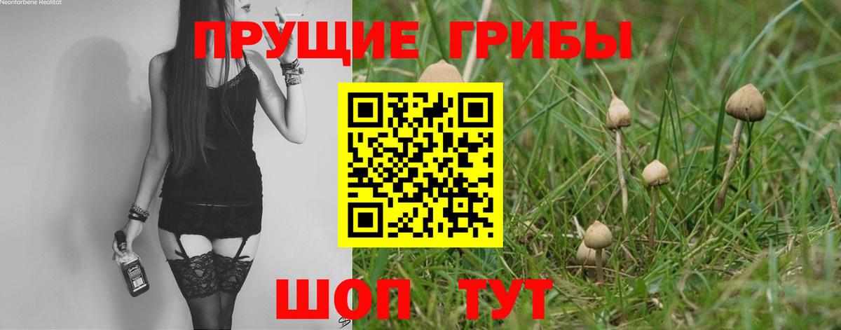 Псилоцибиновые грибы GOLDEN TEACHER  Партизанск 